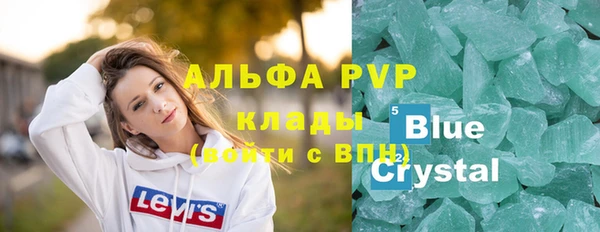 индика Дмитров