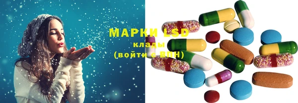 индика Дмитров