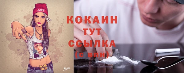 индика Дмитров