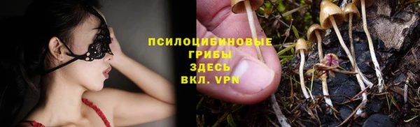 мескалин Гусь-Хрустальный
