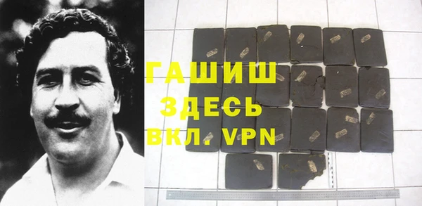 индика Дмитров