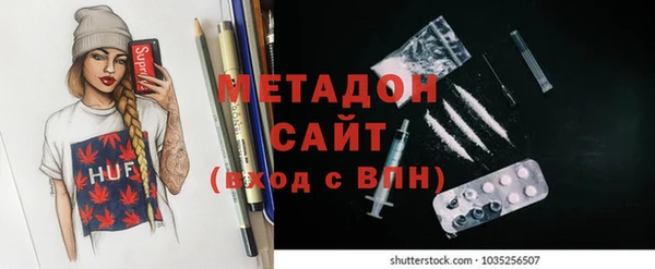 индика Дмитров