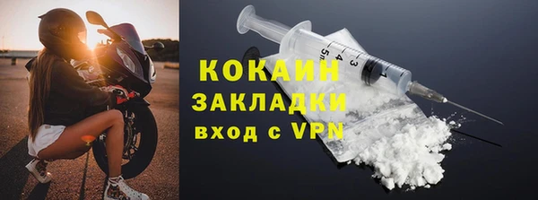 индика Дмитров