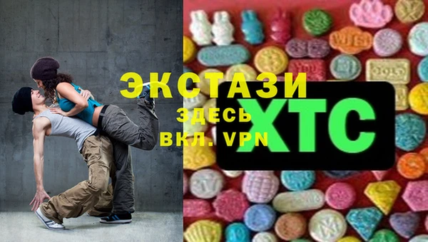 индика Дмитров