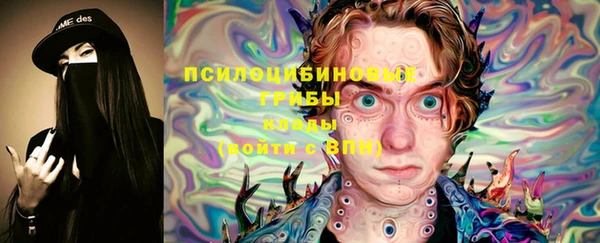 прущие крисы Дмитриев