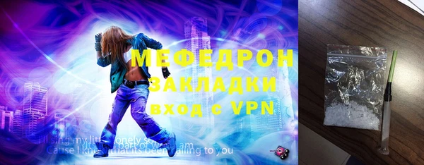 индика Дмитров