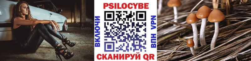 Псилоцибиновые грибы Psilocybine cubensis  Купить где  Оха 